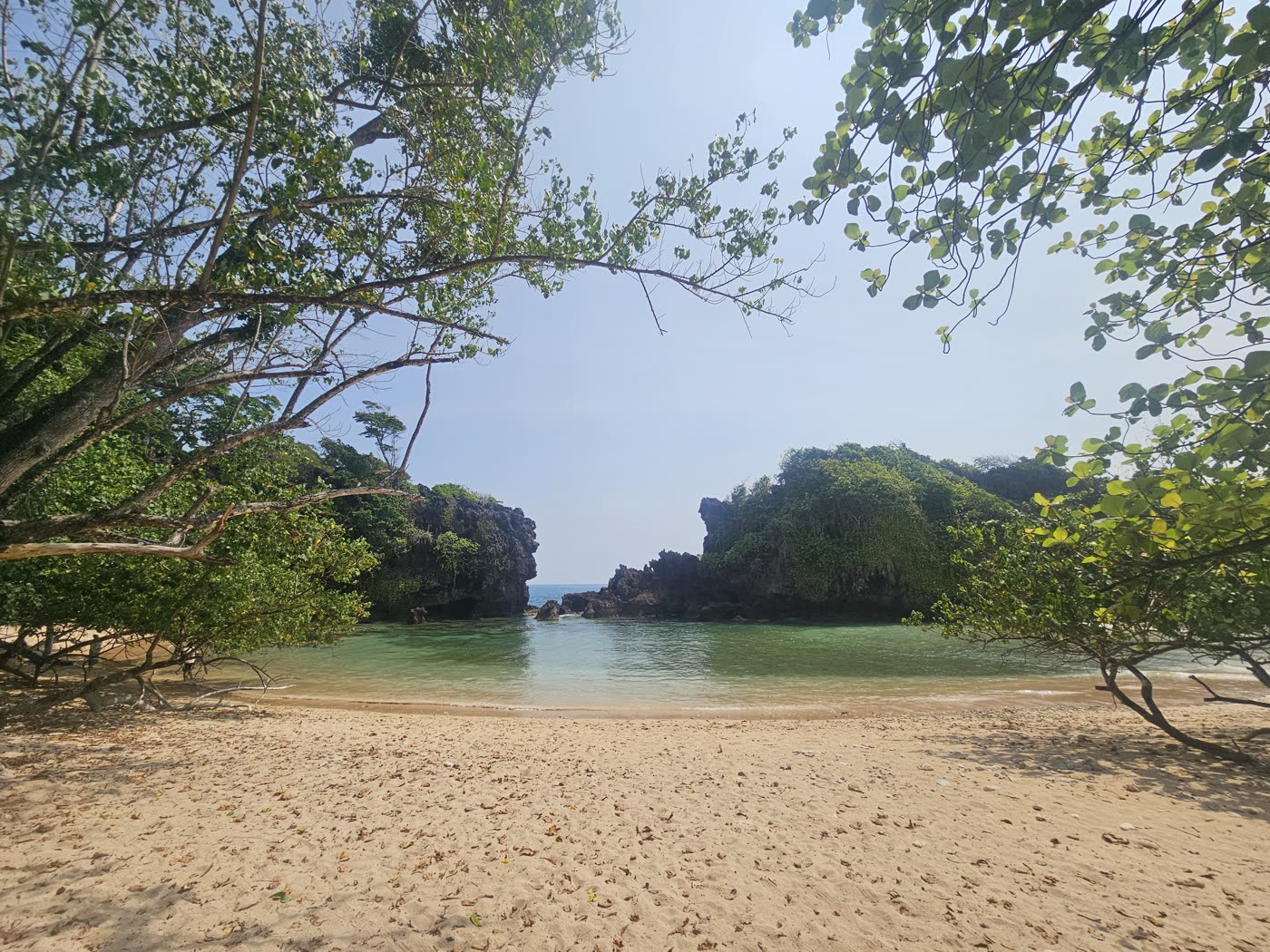 טבע פראי באיי אנדמן